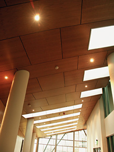 HD_wood_sloped_ceiling