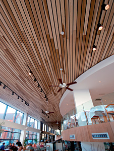 HD_wooden_ceiling_cafe